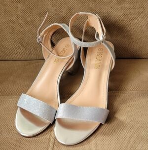 Nwot Silver Glitter Ankle Strap Block Heel Sandals 9